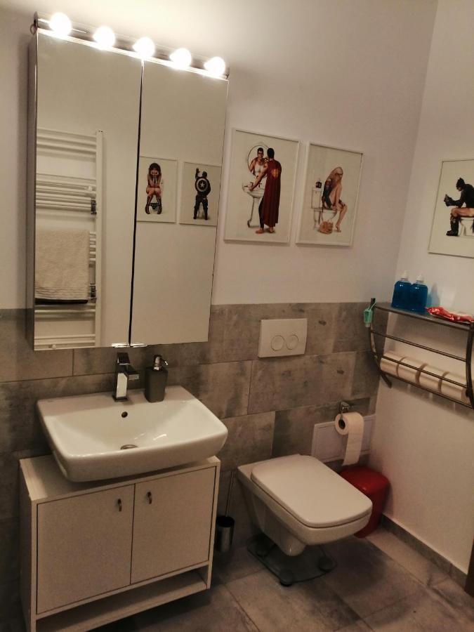 Апартаменти Maurer Loft Тиргу-Муреш Екстер'єр фото